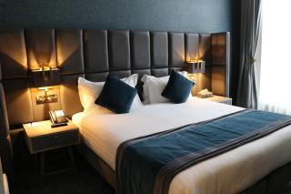 Iveagh Garden Hotel - Dublino - 1