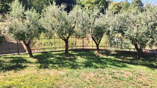 La Casa del Pozzo - Neirone - 8