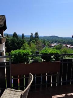 Residenz Sachsensteinblick - Bad Sachsa - 6