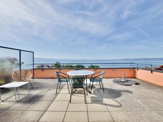 Appartement cozy à Évian, avec terrasse, animaux et parking - FR-1-498-69 - 1