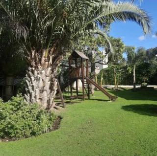 Los tutinos - 6