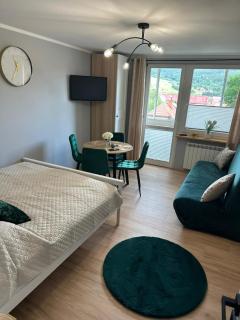 Apartament Pod Jaworzyną - Krynica-Zdrój - 0