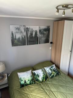 Apartament Pod Jaworzyną - Krynica-Zdrój - 4