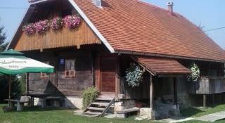 Rustic home Mia - Duga Resa - 3