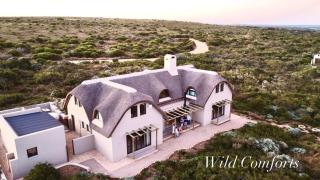 Wild Comforts at Springerbaai - 9