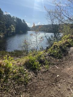 Forest Caravan Park - - 2