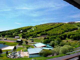 Appart 6 pers avec Parking privé, près du Lac et ski - FR-1-814-71 - Besse-et-Saint-Anastaise - 1