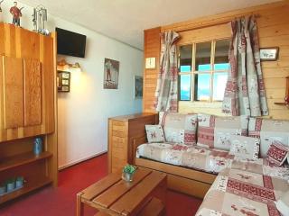 Studio cabine ski aux pieds, 4 pers, animaux admis, parking - FR-1-351-223 - La Plagne Tarentaise - 0