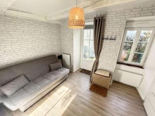 Charmant studio refait à neuf avec terrasse - animaux admis, Wi-Fi gratuit - FR-1-361-562 - 4