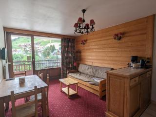 Studio au pied des pistes, animaux admis - FR-1-811-7 - Les Deux Alpes - 0