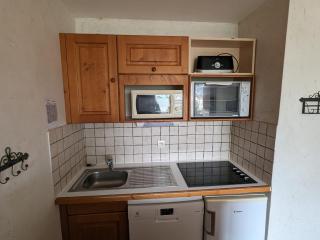 Studio au pied des pistes, animaux admis - FR-1-811-7 - Les Deux Alpes - 3
