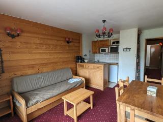Studio au pied des pistes, animaux admis - FR-1-811-7 - Les Deux Alpes - 2
