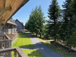 Duplex spacieux avec piscine aux Bois de la Reine - FR-1-814-60 - Besse-et-Saint-Anastaise - 4