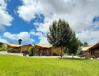 Silver Coast Glamping luxury lodge - Alcobaça - 9