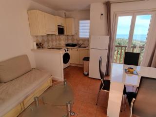 Appartement avec vue mer, 2 piscines, proche plages - FR-1-768-124 - Roquebrune-sur Argens - 9