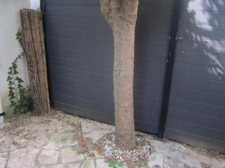 Pavillon 300m Plage avec Piscine et Parking, Climatisation - FR-1-781-79 - Valras-Plage - 2