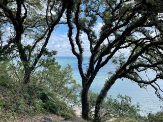 Maisonnette au calme, Noirmoutier, 3 pers. - FR-1-823-62 - Noirmoutier-en-l'Île - 2