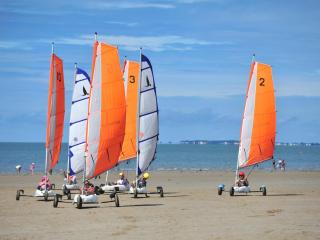 Appartement RDC à 100m plage, animaux admis, stationnement facile - FR-1-540-304 - 6