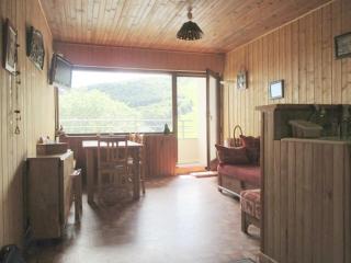 Appartement au cœur de Super Besse, vue sur montagnes - FR-1-814-101 - Besse-et-Saint-Anastaise - 6