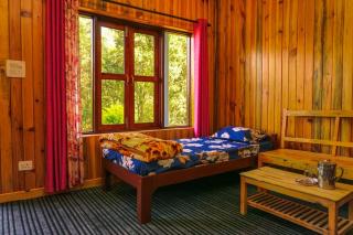 Pine Valley Resort - Patwa Dunga - 9