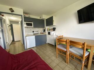 Appartement cosy 4 pers, proche pistes et commerces - FR-1-733-169 - 9