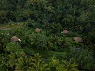 Nadi Nature Resort - Adults Only - Tabanan - 6