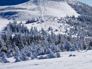 Grand 3 pièces avec vue sur pistes et lac à Besse - FR-1-814-129 - Besse-et-Saint-Anastaise - 3