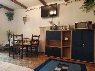 Studio confortable au pied des pistes avec terrasse - FR-1-804-55 - 1