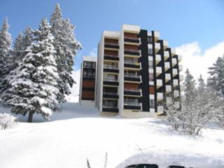 Bel appartement au pied des pistes, 2 chambres, animaux admis, balcon exposé sud - FR-1-549-156 - Chamrousse - 1