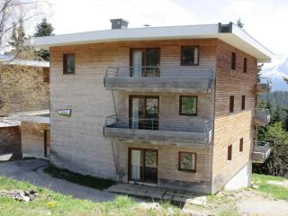Appartement confortable, proche pistes, Chamrousse - FR-1-549-158 - 1