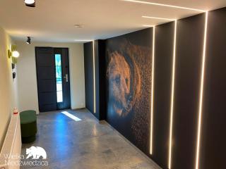 Wielka Niedźwiedzica - 1