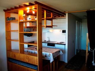Studio confortable au centre, pied des pistes - FR-1-814-115 - Besse-et-Saint-Anastaise - 1