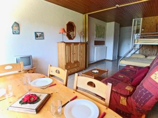 Studio 4 personnes pied des pistes, balcon Sud Est - FR-1-549-153 - 1