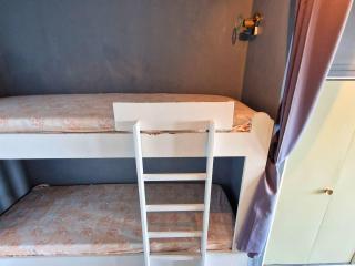 Duplex 6 pers, animaux admis, balcon sud, Chaillol 1600 - FR-1-393-182 - Saint-Michel-de-Chaillol - 4