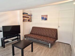 Duplex 6 pers, animaux admis, balcon sud, Chaillol 1600 - FR-1-393-182 - Saint-Michel-de-Chaillol - 1