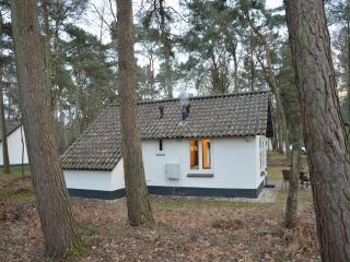 Completely detached bungalow in a nature-filled park by a large fen - Stramproy - 5