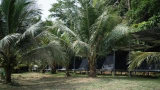 Mellow Camp kohkood - Ban Khlong Mat - 5