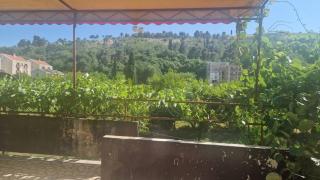 Kiwi house - Podgorica - 3