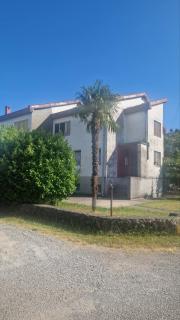 Kiwi house - Podgorica - 1