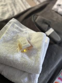 Pension Villa Pangea - 6