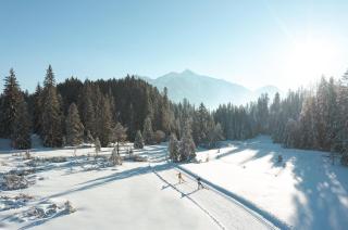 Landhaus Petri Heil - Seefeld in Tirol - 2