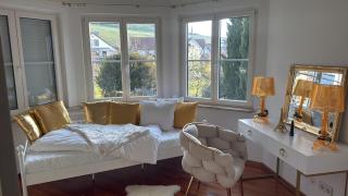 Villa Pool Wellness SPA Golf area near Basel - Kandern - 2