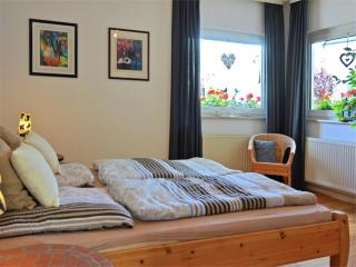 Vibrant Apartment in Willingen with Private Terrace - Willingen - 9