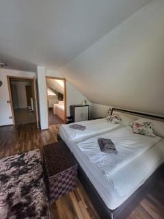 Relax Room Bohinjska Bistrica - Bohinj - 9