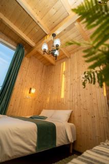 Cabana Oul Arsitei - Pleşi - 2