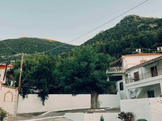 Spacious 2 Bd Apt in Quiet Troezen Village - - 6