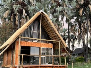 Mokolwane RiverFront Maun - Maun - 7