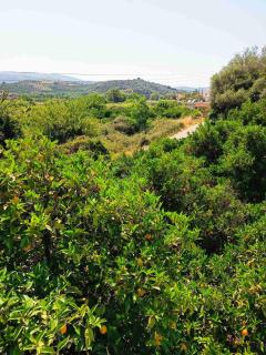 Veranda with endless view - Fournés - 3