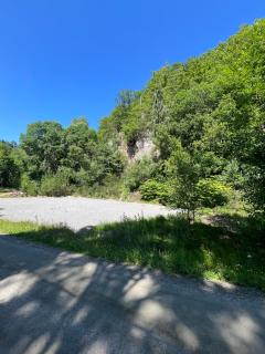Forest Caravan Park - 1