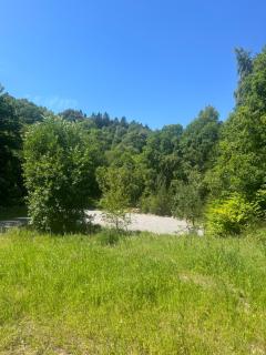 Forest Caravan Park - - 6